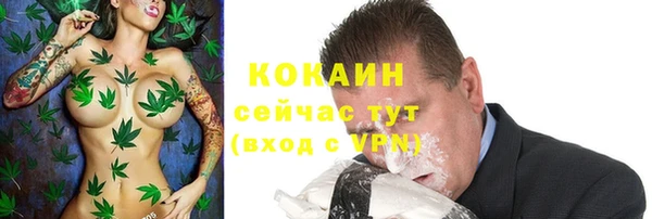 твердый Арсеньев