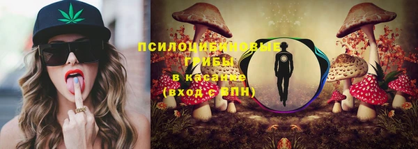 Альфа ПВП Аркадак