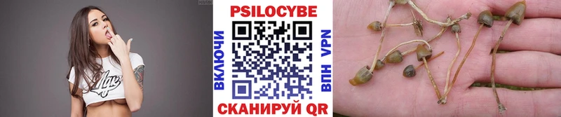 закладки  Лениногорск  Галлюциногенные грибы Cubensis 