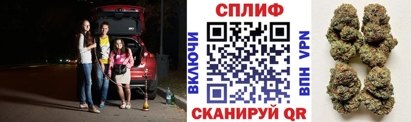 Конопля гибрид  Лениногорск 